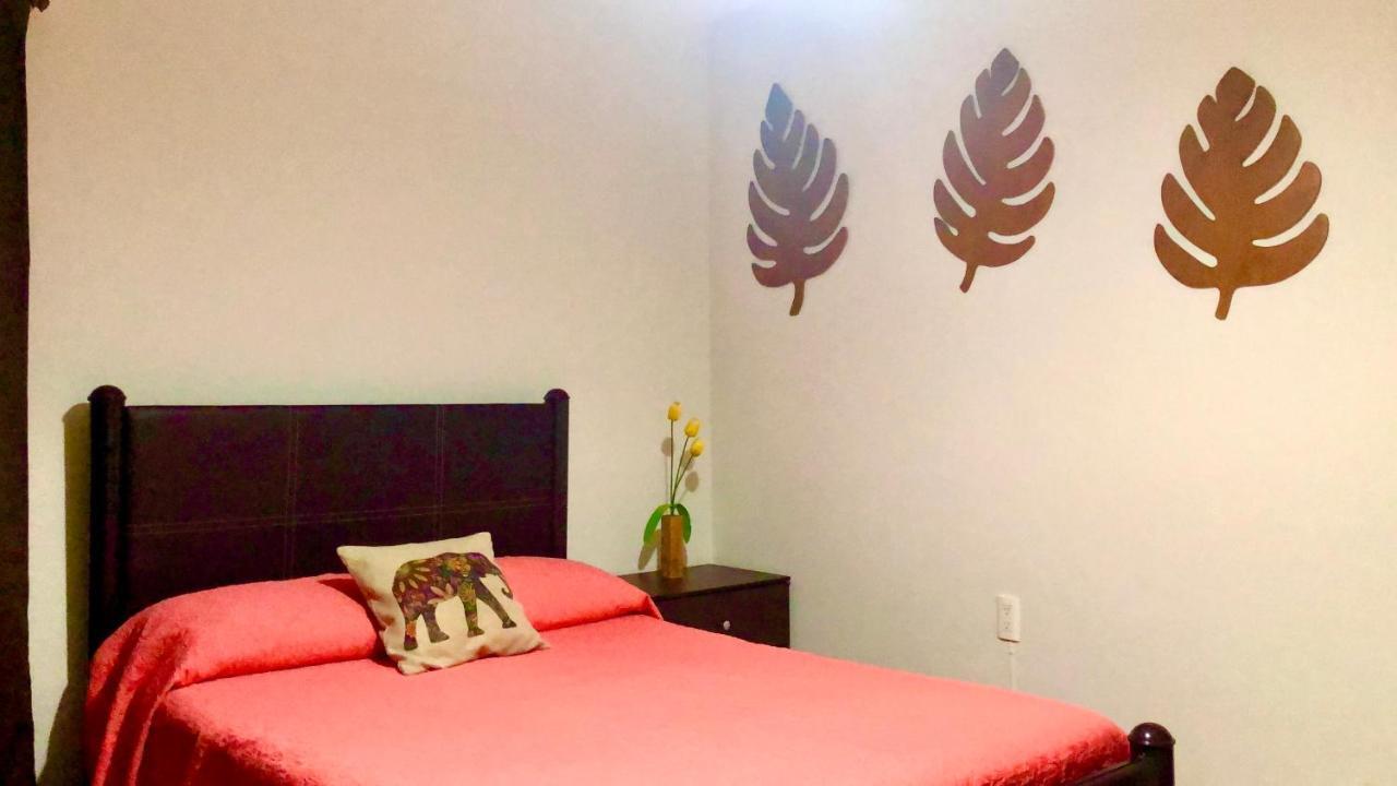 마사틀란 Departamento Zona Dorada 아파트 외부 사진